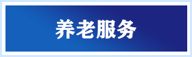 養老服務